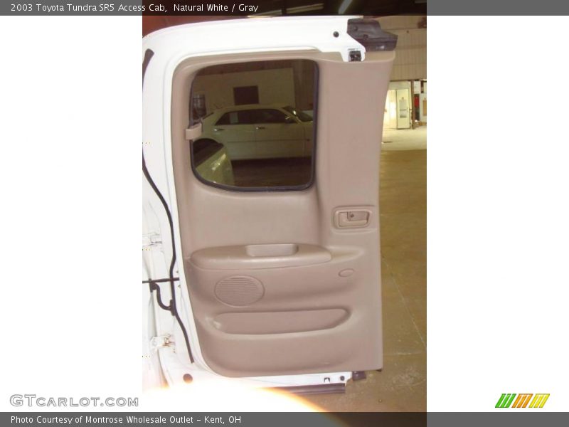 Natural White / Gray 2003 Toyota Tundra SR5 Access Cab