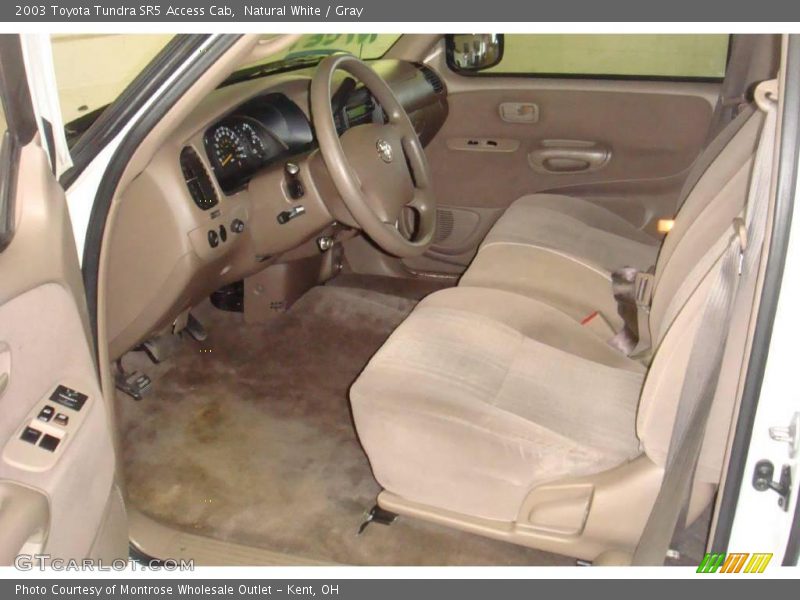 Natural White / Gray 2003 Toyota Tundra SR5 Access Cab