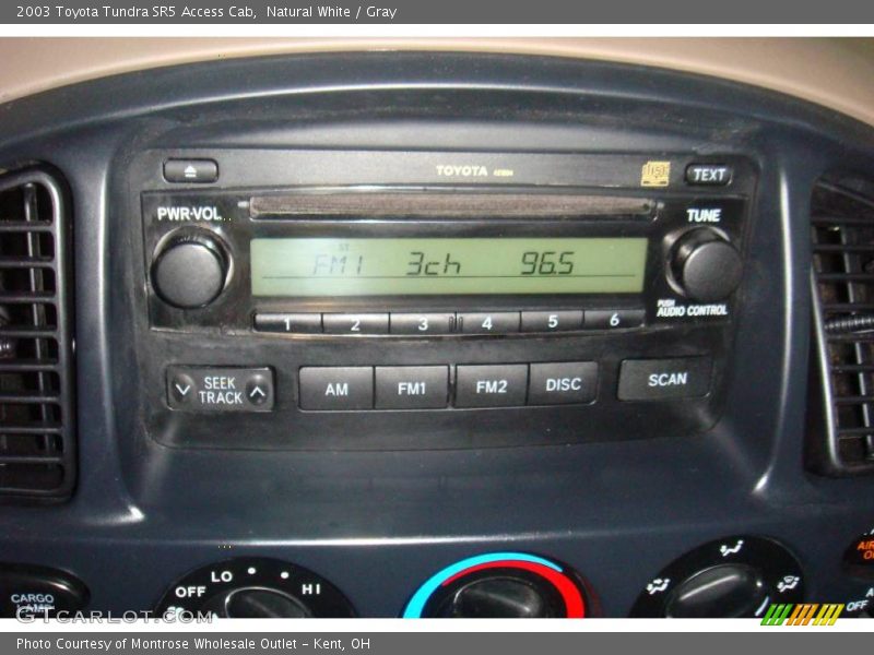 Natural White / Gray 2003 Toyota Tundra SR5 Access Cab