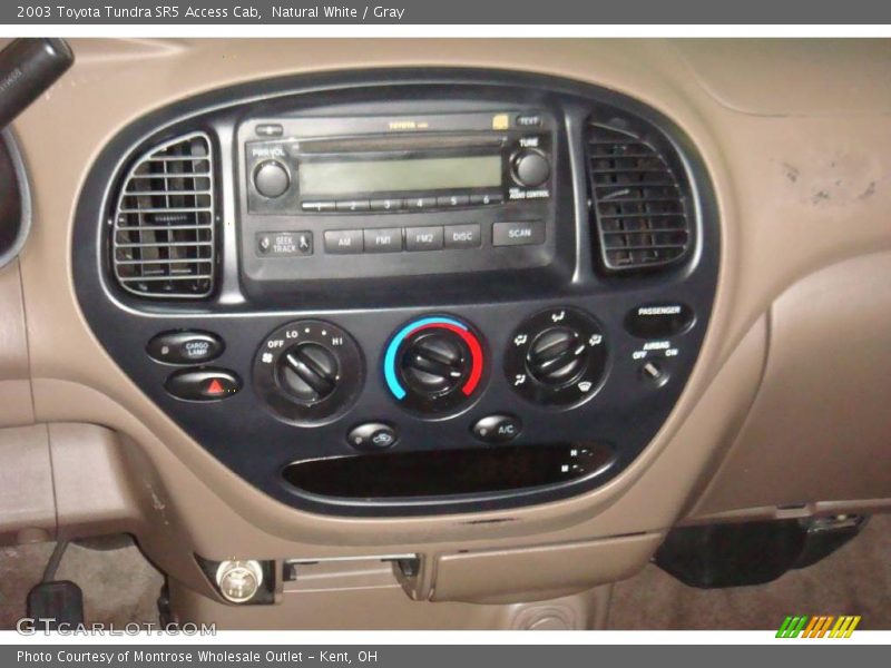 Natural White / Gray 2003 Toyota Tundra SR5 Access Cab