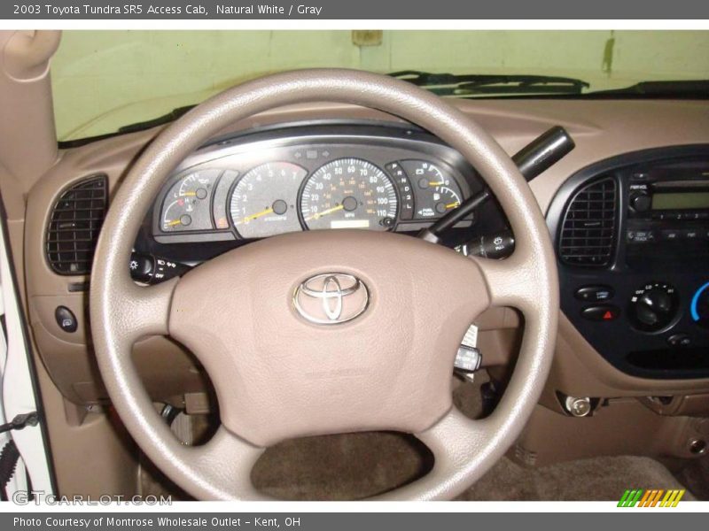 Natural White / Gray 2003 Toyota Tundra SR5 Access Cab