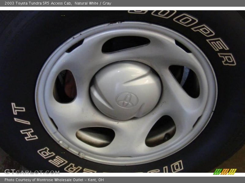 Natural White / Gray 2003 Toyota Tundra SR5 Access Cab