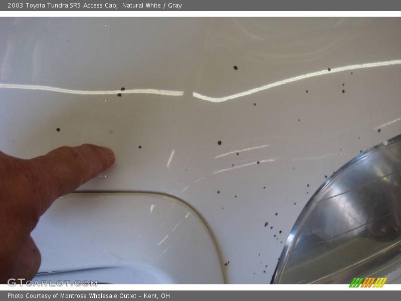 Natural White / Gray 2003 Toyota Tundra SR5 Access Cab
