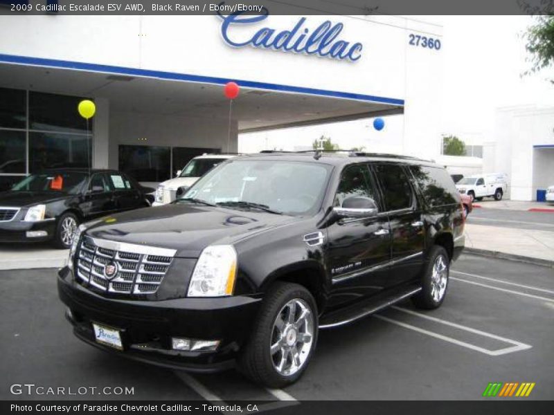 Black Raven / Ebony/Ebony 2009 Cadillac Escalade ESV AWD