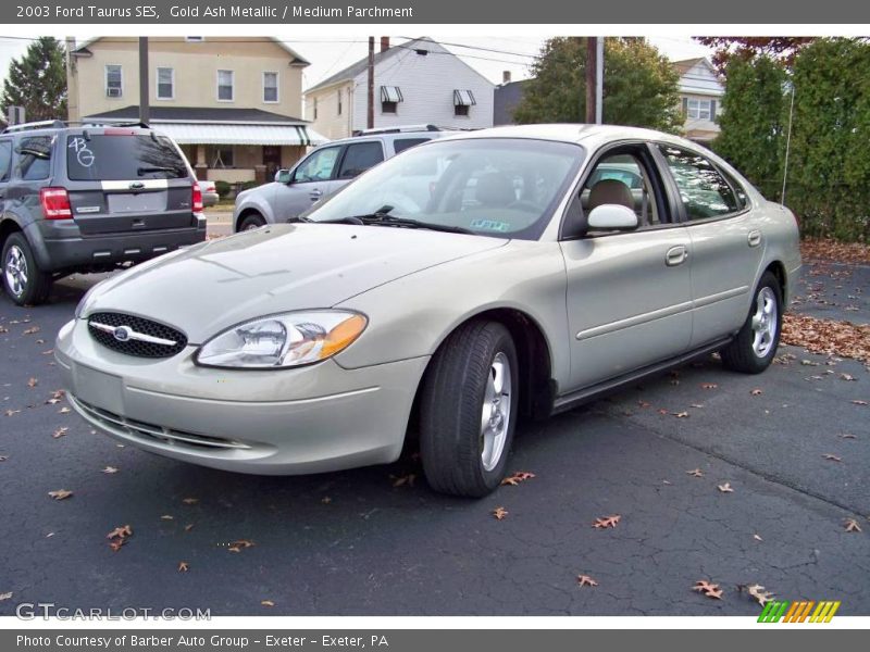 Gold Ash Metallic / Medium Parchment 2003 Ford Taurus SES