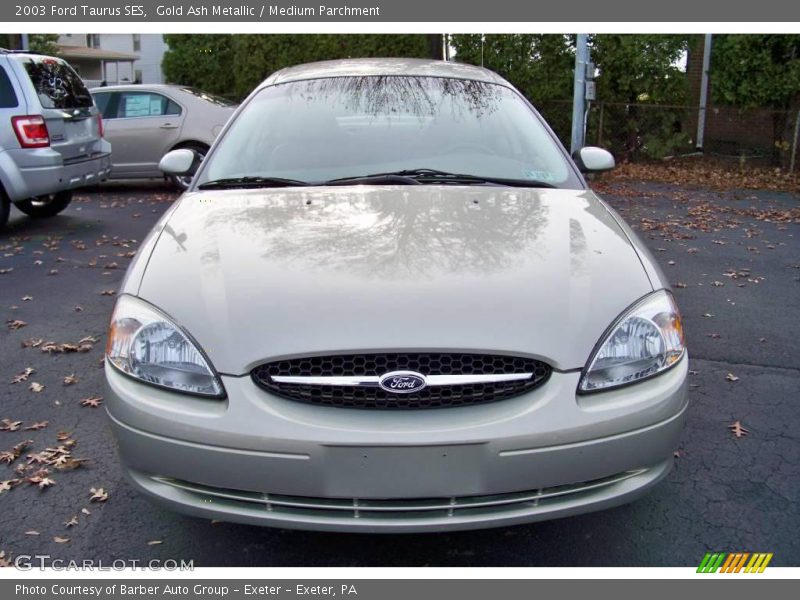Gold Ash Metallic / Medium Parchment 2003 Ford Taurus SES