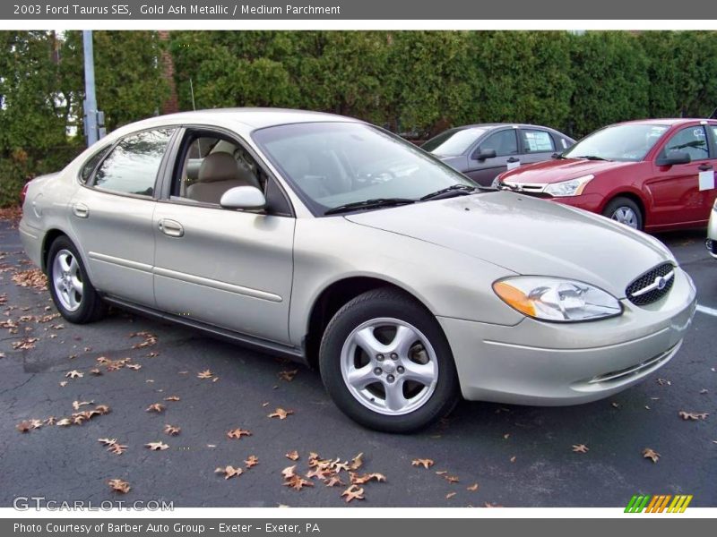 Gold Ash Metallic / Medium Parchment 2003 Ford Taurus SES