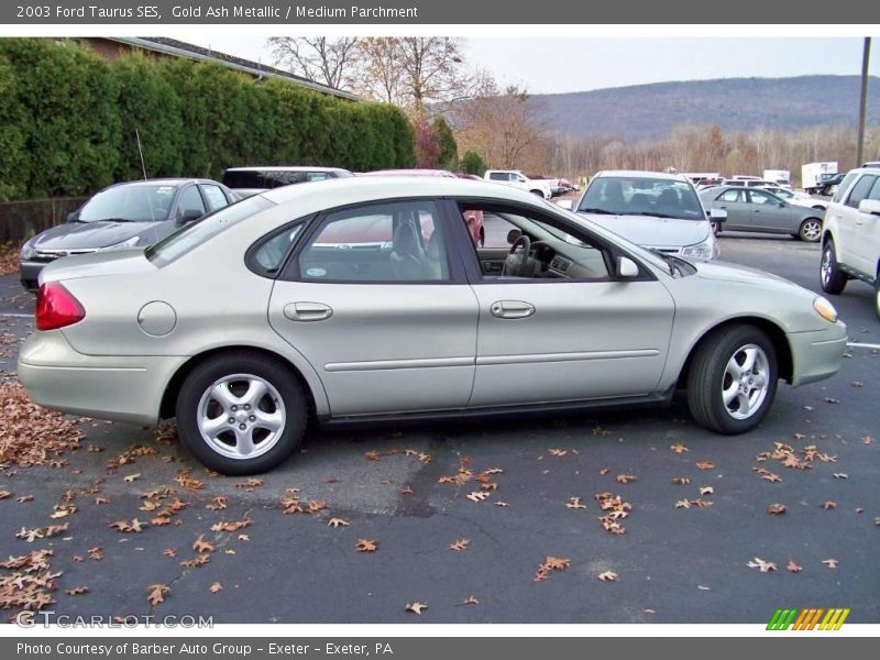 Gold Ash Metallic / Medium Parchment 2003 Ford Taurus SES