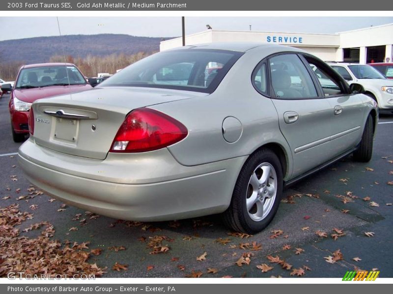 Gold Ash Metallic / Medium Parchment 2003 Ford Taurus SES