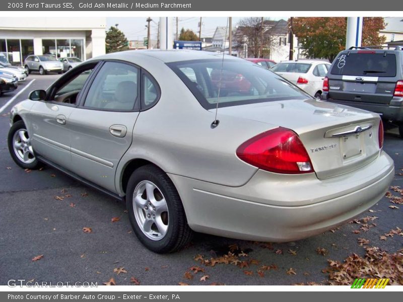 Gold Ash Metallic / Medium Parchment 2003 Ford Taurus SES