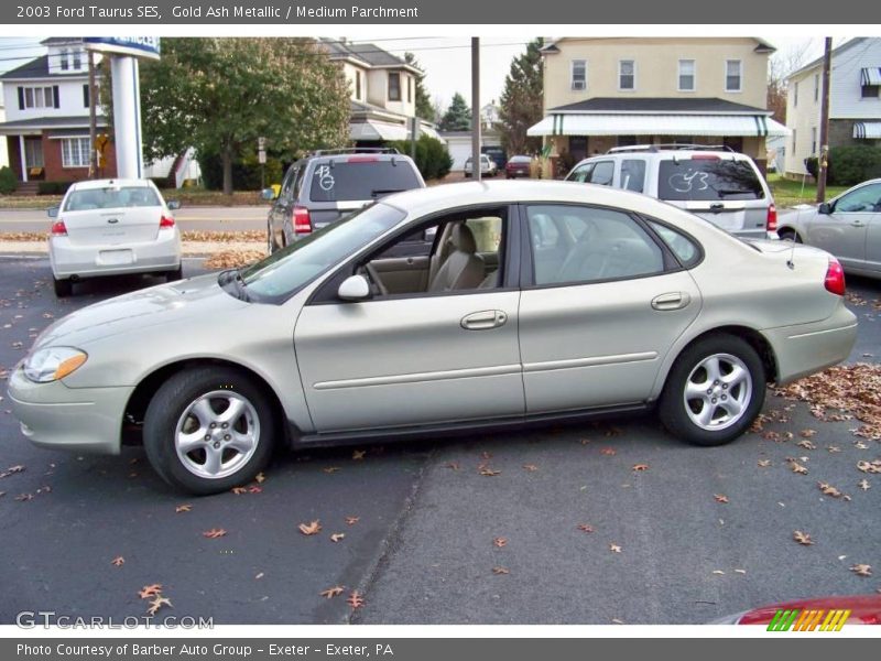 Gold Ash Metallic / Medium Parchment 2003 Ford Taurus SES