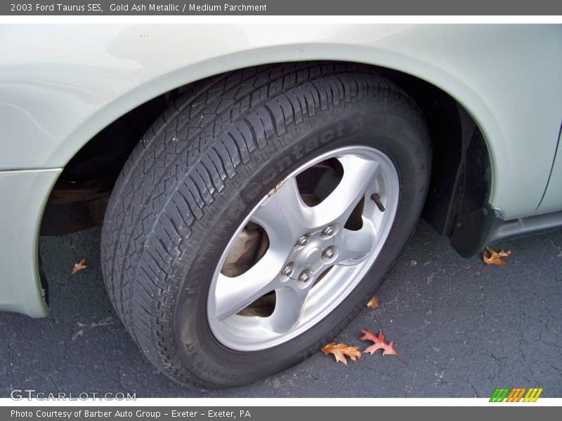 Gold Ash Metallic / Medium Parchment 2003 Ford Taurus SES