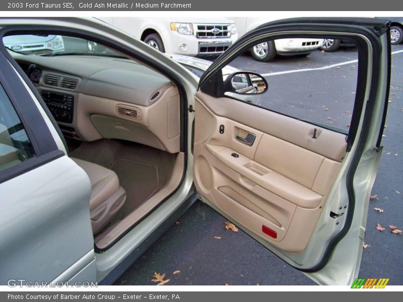 Gold Ash Metallic / Medium Parchment 2003 Ford Taurus SES