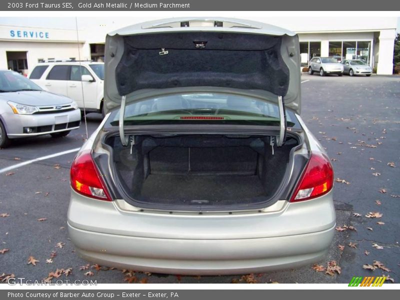 Gold Ash Metallic / Medium Parchment 2003 Ford Taurus SES