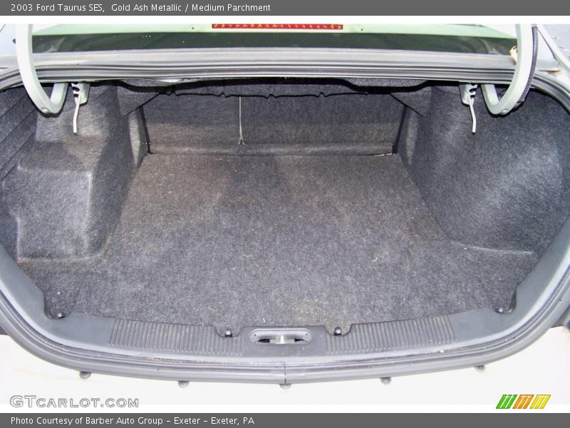 Gold Ash Metallic / Medium Parchment 2003 Ford Taurus SES