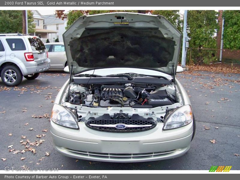 Gold Ash Metallic / Medium Parchment 2003 Ford Taurus SES