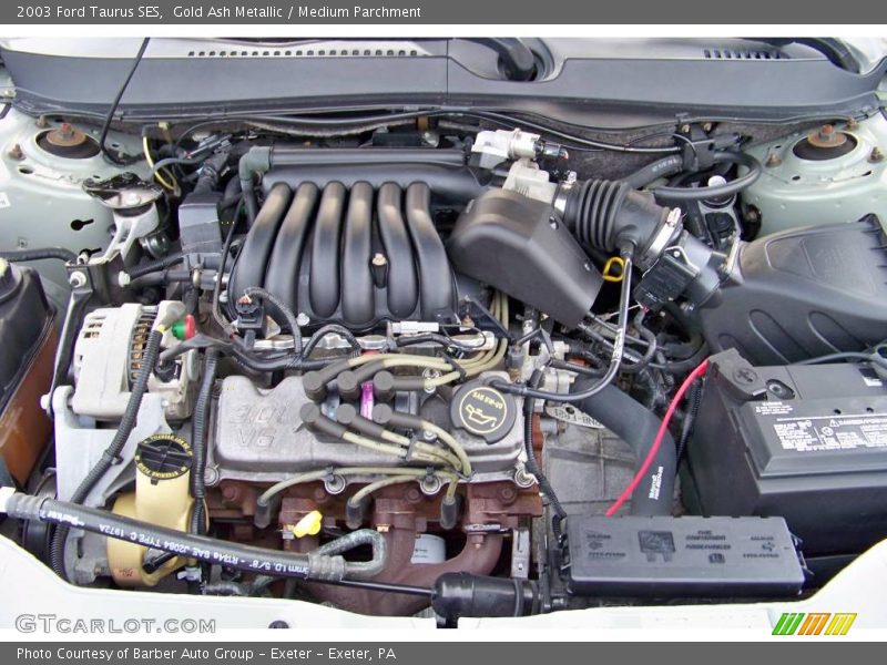 Gold Ash Metallic / Medium Parchment 2003 Ford Taurus SES