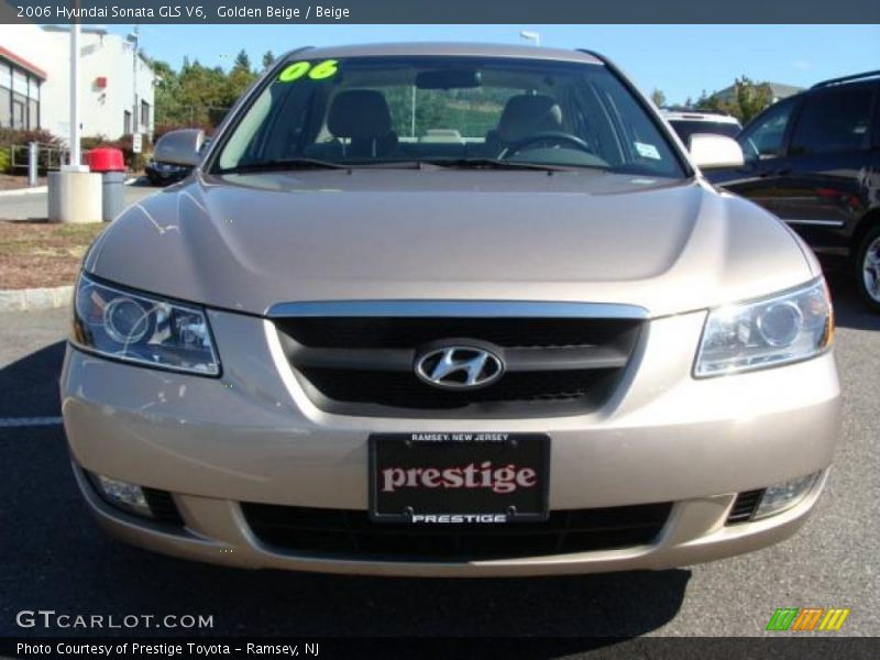 Golden Beige / Beige 2006 Hyundai Sonata GLS V6
