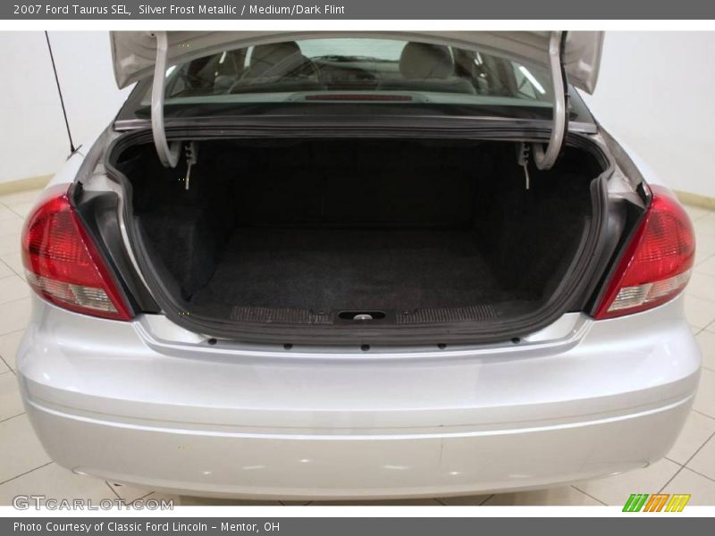 Silver Frost Metallic / Medium/Dark Flint 2007 Ford Taurus SEL