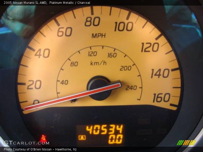 Platinum Metallic / Charcoal 2005 Nissan Murano SL AWD