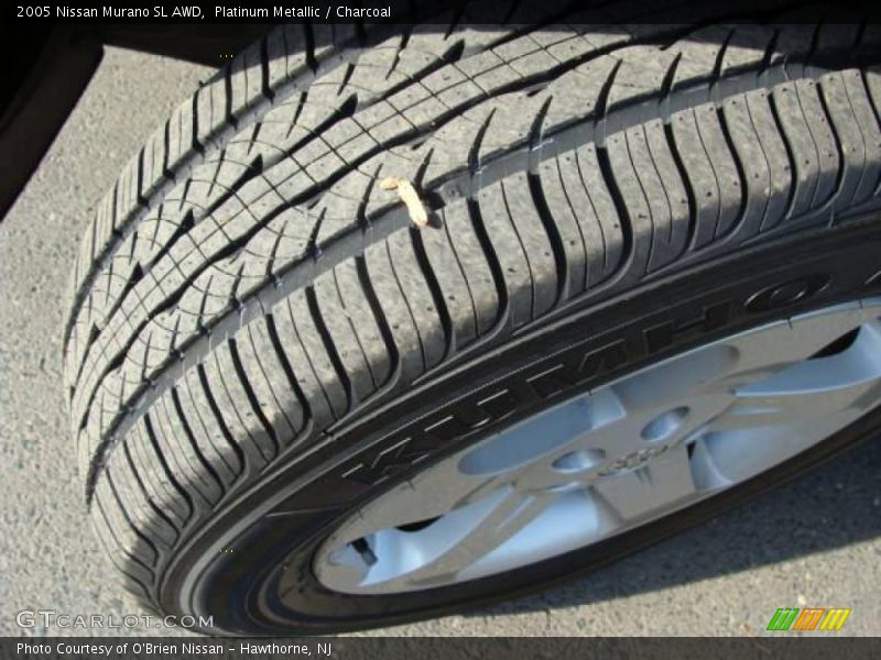 Platinum Metallic / Charcoal 2005 Nissan Murano SL AWD