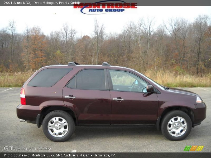 Deep Mahogany Pearl / Saddle 2001 Acura MDX