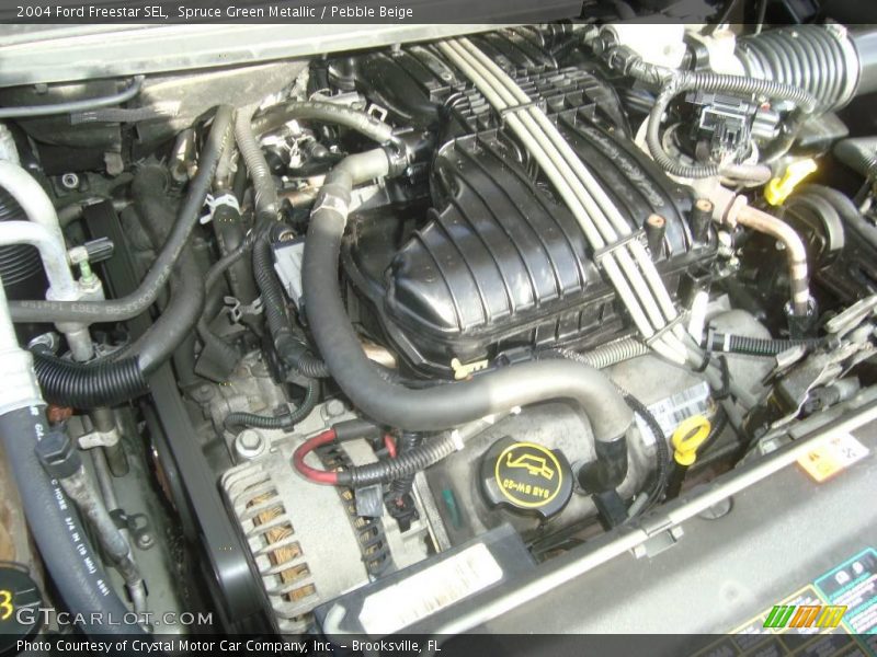 Spruce Green Metallic / Pebble Beige 2004 Ford Freestar SEL