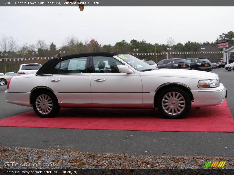 Vibrant White / Black 2003 Lincoln Town Car Signature
