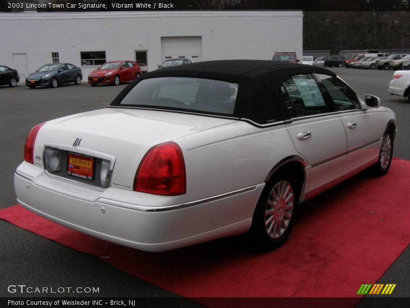 Vibrant White / Black 2003 Lincoln Town Car Signature