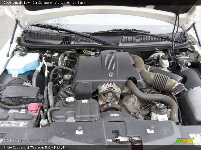 Vibrant White / Black 2003 Lincoln Town Car Signature