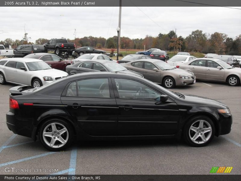 Nighthawk Black Pearl / Camel 2005 Acura TL 3.2