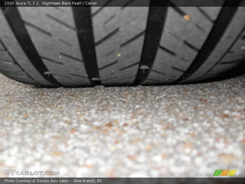 Nighthawk Black Pearl / Camel 2005 Acura TL 3.2