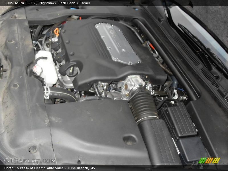 Nighthawk Black Pearl / Camel 2005 Acura TL 3.2