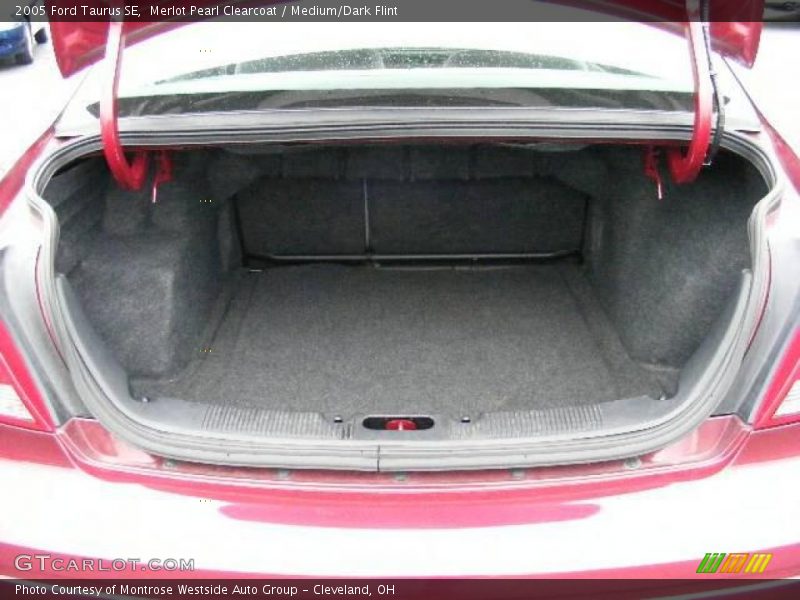 Merlot Pearl Clearcoat / Medium/Dark Flint 2005 Ford Taurus SE