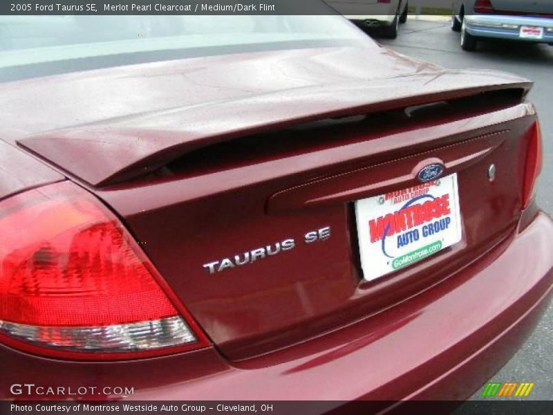 Merlot Pearl Clearcoat / Medium/Dark Flint 2005 Ford Taurus SE