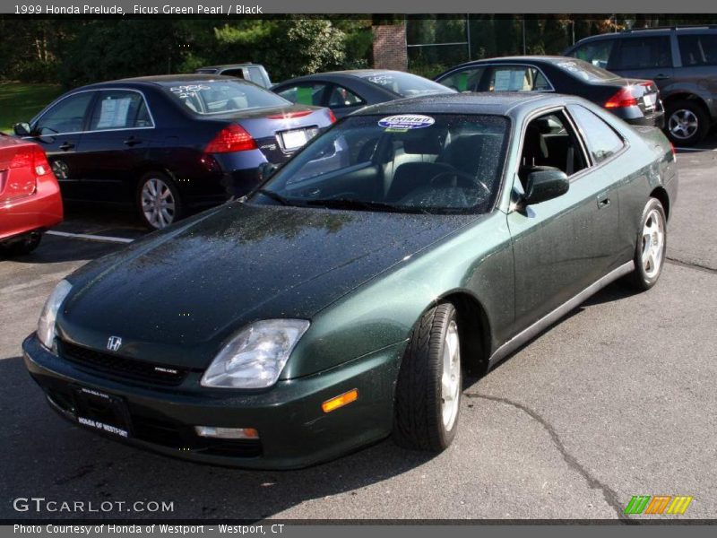 Ficus Green Pearl / Black 1999 Honda Prelude