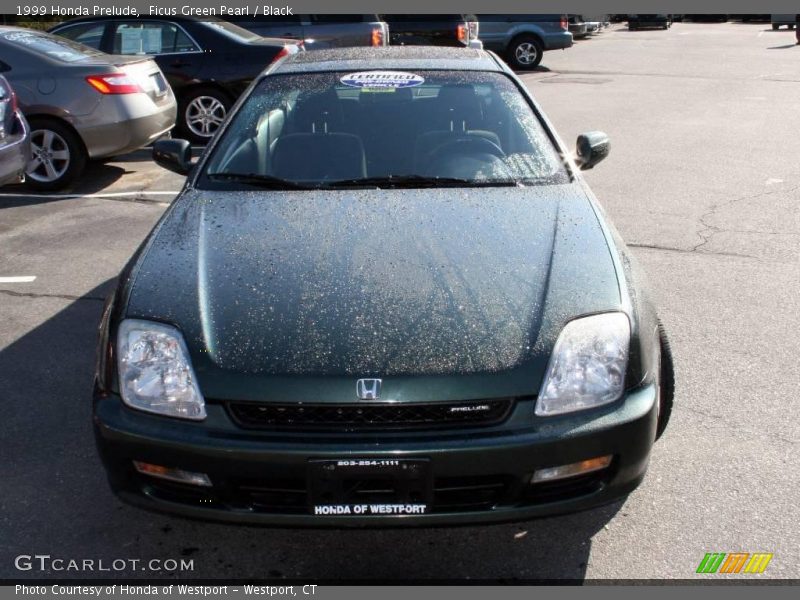 Ficus Green Pearl / Black 1999 Honda Prelude