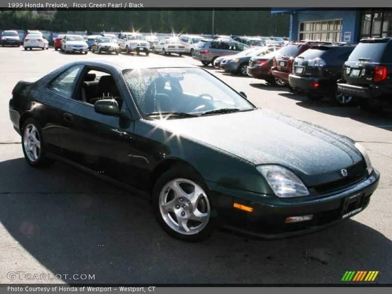 Ficus Green Pearl / Black 1999 Honda Prelude