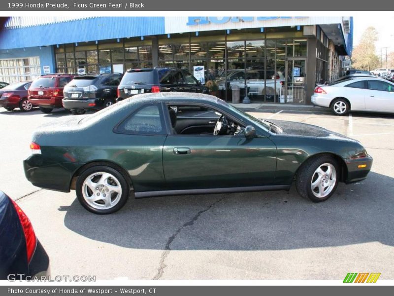 Ficus Green Pearl / Black 1999 Honda Prelude