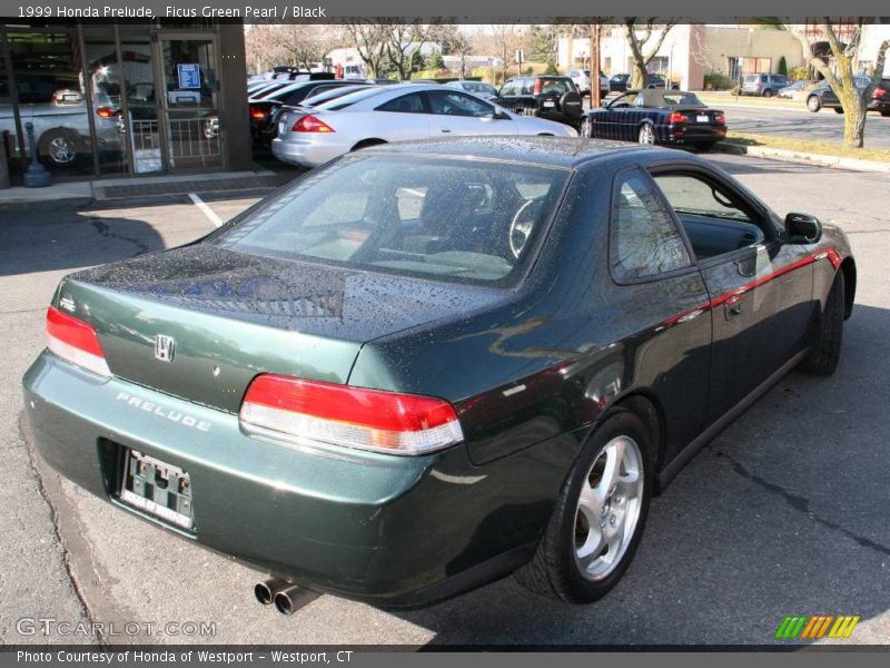 Ficus Green Pearl / Black 1999 Honda Prelude
