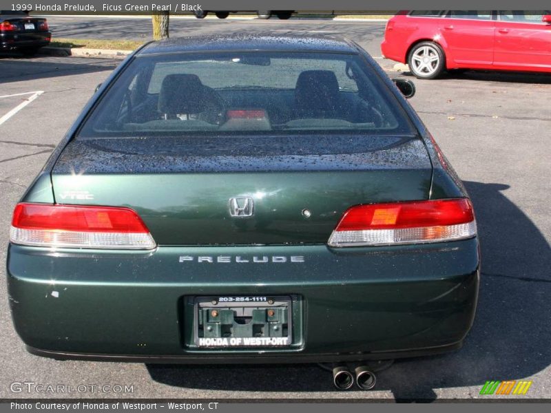 Ficus Green Pearl / Black 1999 Honda Prelude