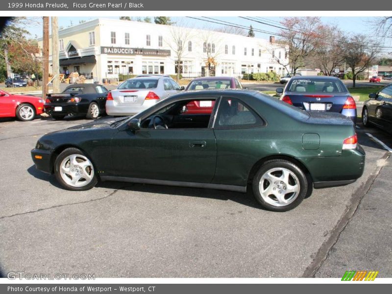 Ficus Green Pearl / Black 1999 Honda Prelude