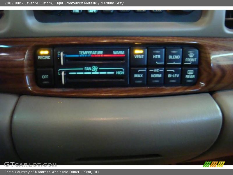 Light Bronzemist Metallic / Medium Gray 2002 Buick LeSabre Custom