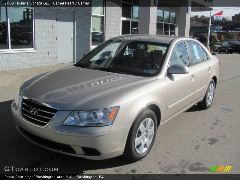 Camel Pearl / Camel 2009 Hyundai Sonata GLS