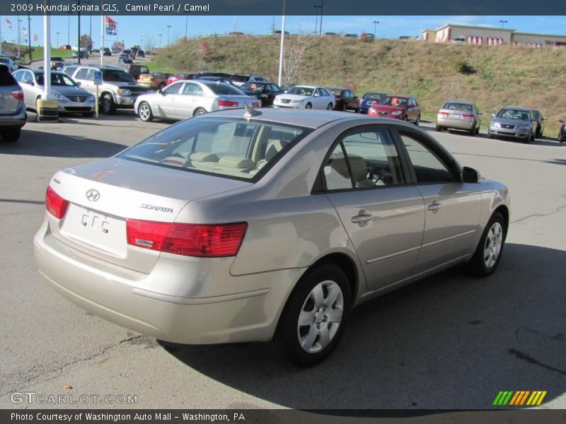 Camel Pearl / Camel 2009 Hyundai Sonata GLS
