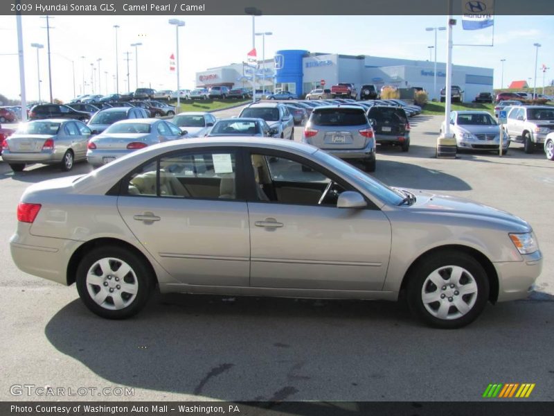 Camel Pearl / Camel 2009 Hyundai Sonata GLS