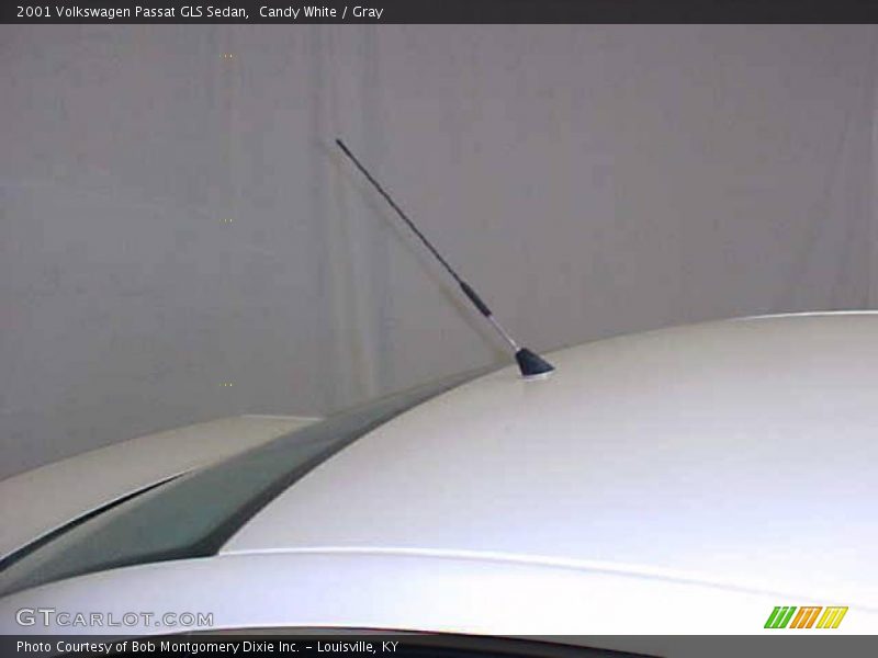 Candy White / Gray 2001 Volkswagen Passat GLS Sedan