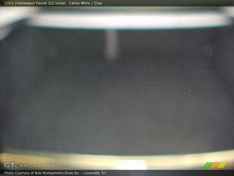 Candy White / Gray 2001 Volkswagen Passat GLS Sedan