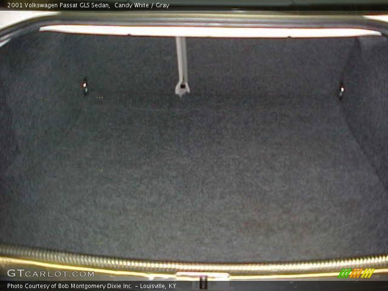 Candy White / Gray 2001 Volkswagen Passat GLS Sedan