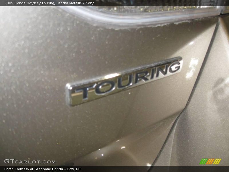 Mocha Metallic / Ivory 2009 Honda Odyssey Touring